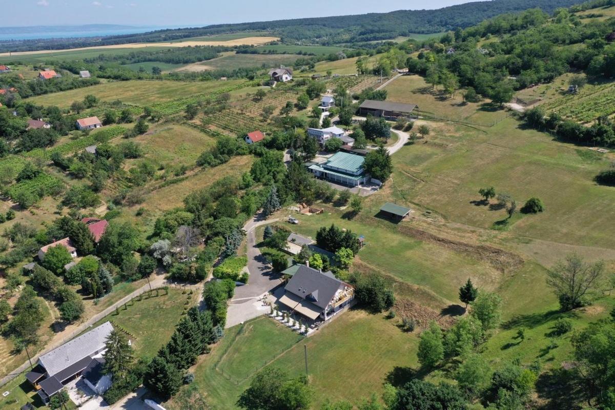 Borkuti Panzio Es Apartman Balatonszárszó Exteriör bild