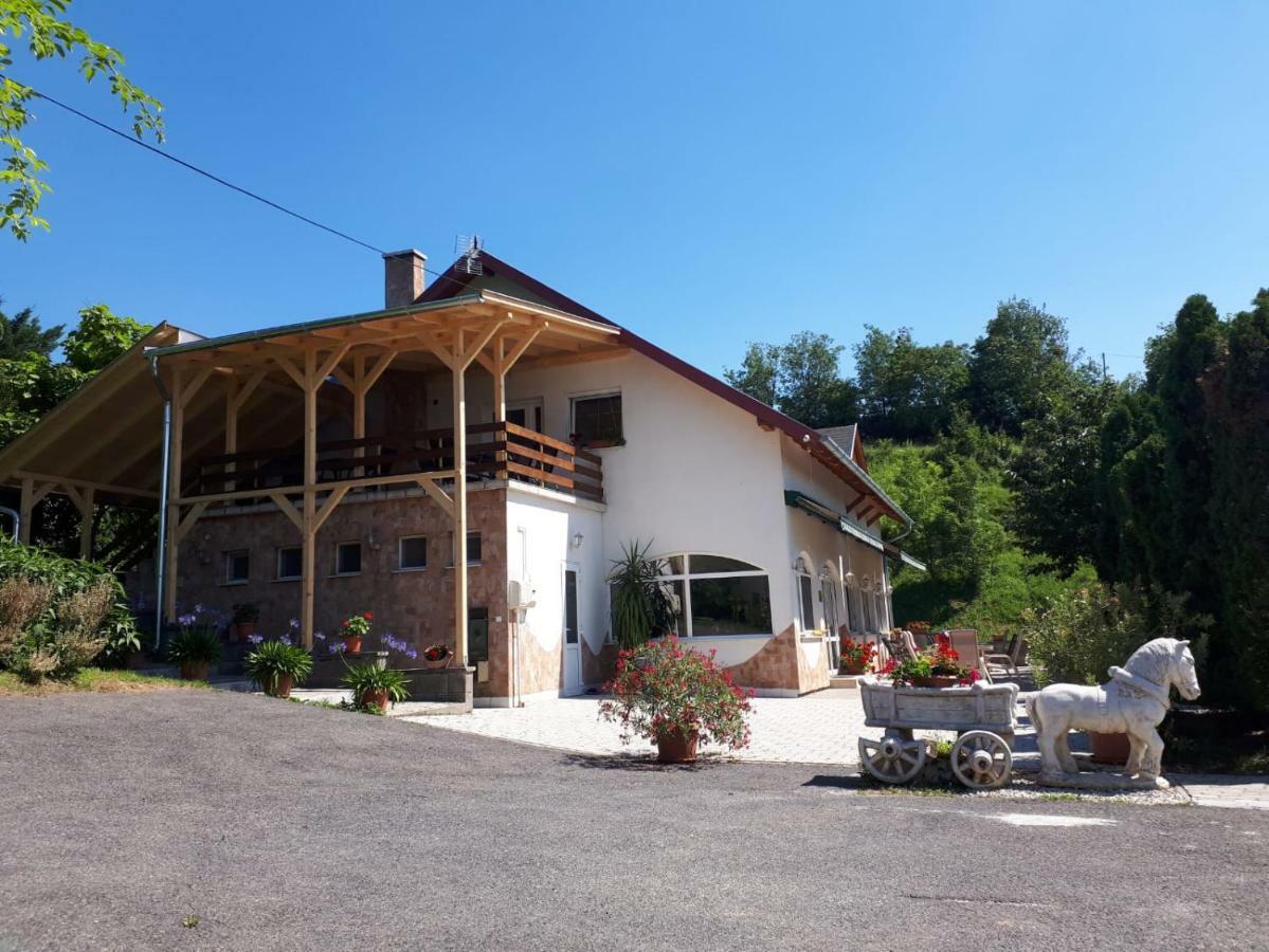 Borkuti Panzio Es Apartman Balatonszárszó Exteriör bild